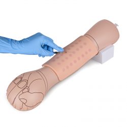 Ultrassist Intradermal Injection Practice Kit for Nursing Students