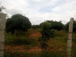 Nature’s Haven Awaits: Buy Farm Plots Near Denkanikottai with Lakeview Farms.