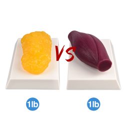 Ultrassist 1 Pound Muscle and 1lb Fat Replica Model, Rectangle