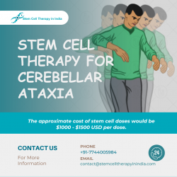 What Do We Know About Stem Cell Therapy For Cerebellar Ataxia?