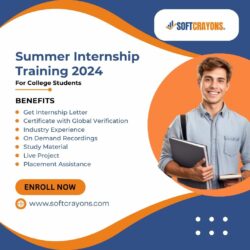 summer internship training