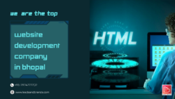 Top Website Development Company in Bhopal | Leads and Brands