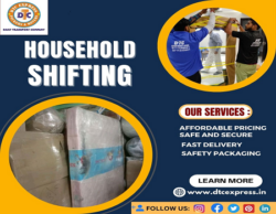 Professional Reliable Packers and Movers in Delhi