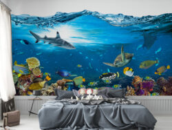 Underwater Wallpaper