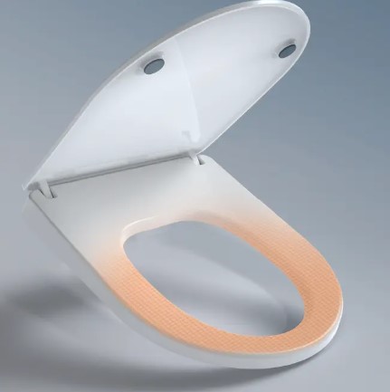 Dual Nozzle Heated Bidet Toilet Seat