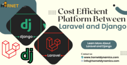 Cost Efficient platform between Laravel and Django