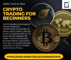 Digital Assets to Start Crypto Trading for Beginners
