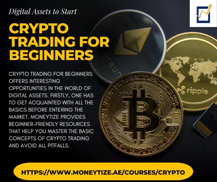 Digital Assets to Start Crypto Trading for Beginners