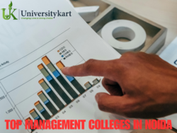 Top Management Colleges in Noida