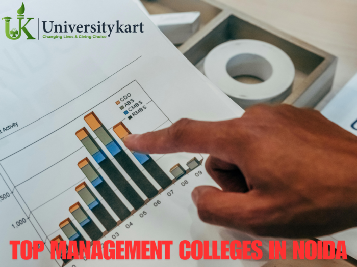 Top Management Colleges in Noida