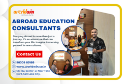 Global Opportunities with Worldwin: Expert Abroad Education Consultants