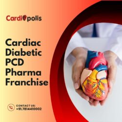 Top Companies Offering Cardiac Diabetic PCD Pharma Franchise