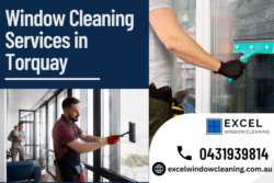 Fully Insured Window Cleaning Services in Torquay