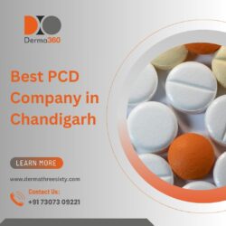 Top Features of the Best PCD Companies in Chandigarh