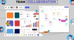 Social Media Management