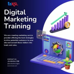 Best Digital Marketing Training in Mohali,Chandigarh