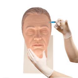 Facial Injection Training Head with Masculine Features