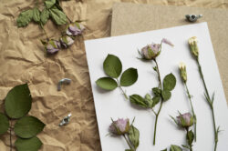 Bridal bouquet pressed flowers sydney