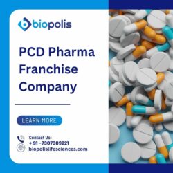 The Role of a PCD Pharma Franchise Company in Healthcare