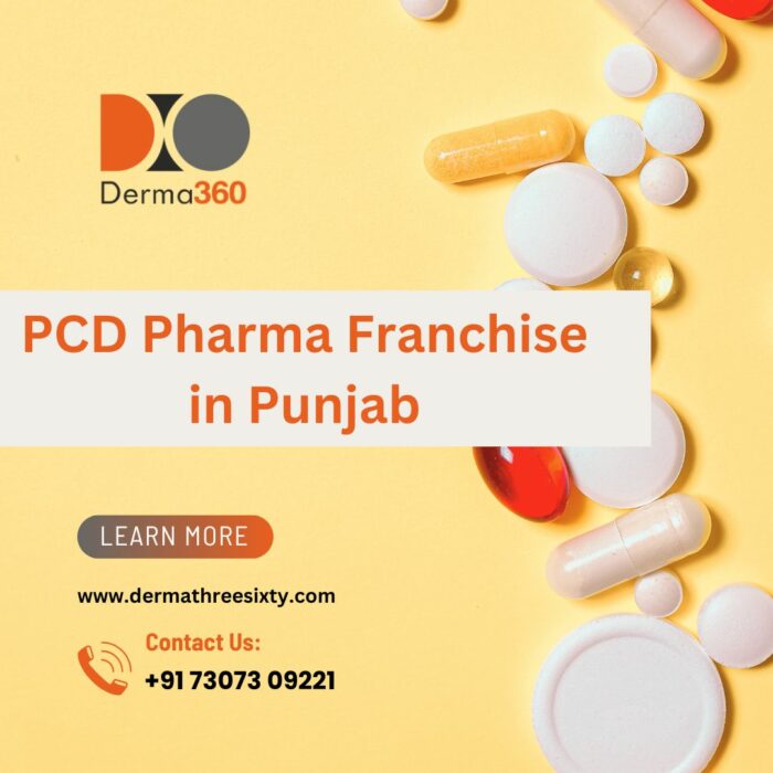 High-Quality Products with PCD Pharma Franchise in Punjab