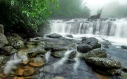 Wonderful Shillong Meghalaya Package Tour – Best Deal from NatureWings