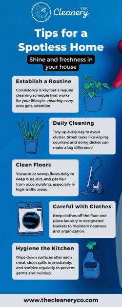 Tips for a Spotless Home – Shine and Freshness in Your House