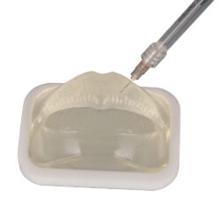 Transparent Lip Model for Filler & Injection Practice