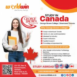 Canada Education Consultants: Your Gateway to Studying in Canada – Worldwin
