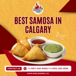 Best Samosa in Calgary: Taste Crispy Street Food at Sizzling Grill