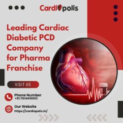 Leading Cardiac Diabetic PCD Company for Pharma Franchise