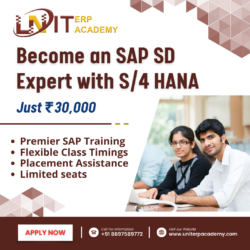 Transform Your HR with SAP HCM S/4 HANA Module