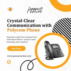 Crystal-Clear Communication with Polycom Phone