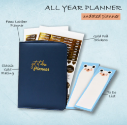 Stay Ahead in 2025 with a Business Diary and Undated Diary