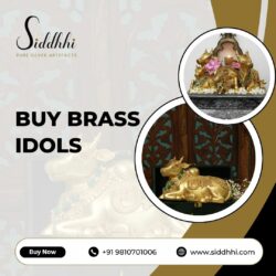 Buy Brass Idols and Artefacts online in India