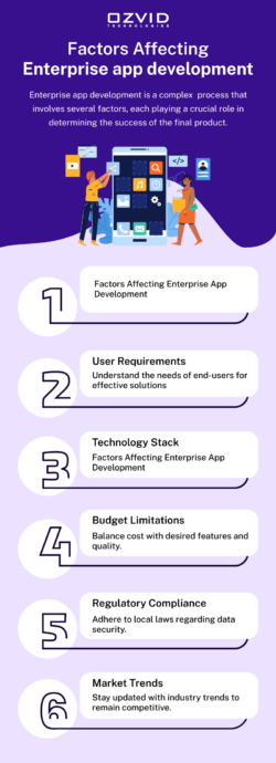 Factors Affecting Enterprise App Development | OZVID Technologies