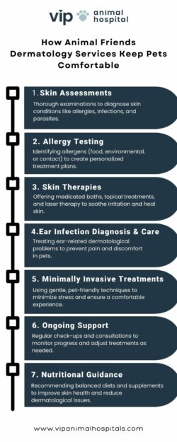 Top Animal Friends Dermatology Services VIP Animal Hospital