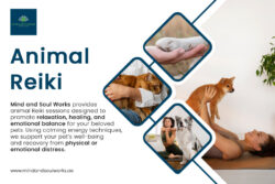 Learn About Gentle Healing for Your Beloved Pets with Animal Reiki