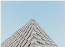 Front Yard Landscaping