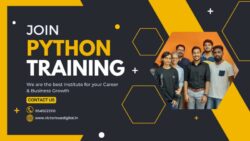 Best Python Training Institute & Classes in Pune