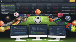 Best Sports Betting Software Development Company