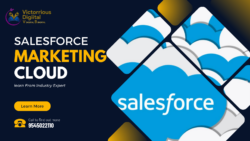 Online Salesforce Marketing Cloud Training Institute & Classes