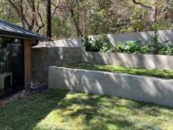 Front Yard Landscaping