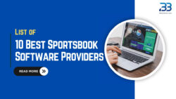 Best Sportsbook Software Providers