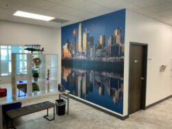 Custom 3D Wall Wraps Made by SSK Signs