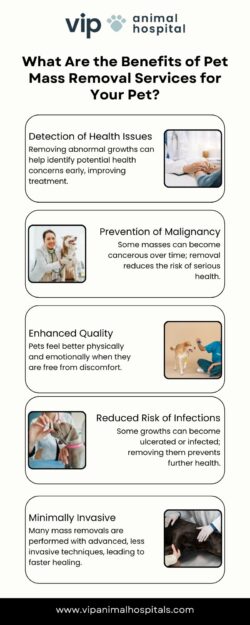 Reliable Pet Mass Removal Services – VIP Animal Hospital Cares!