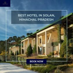 Best Hotel in Solan, Himachal Pradesh