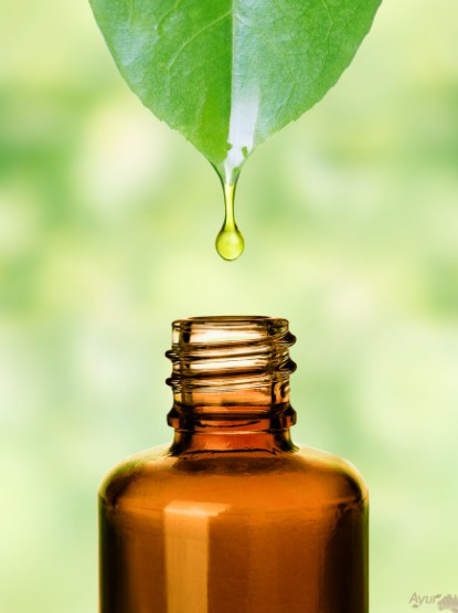 Homeopathy doctor near me