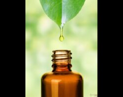 Homeopathy Medicine Sydney