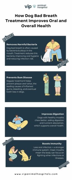 Say Goodbye to Smelly Breath Dog Bad Breath Treatment by VIP Animal Hospital