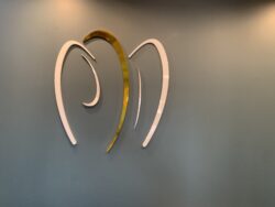 Professional Office Signs in Edmonton – Enhance Your Workspace